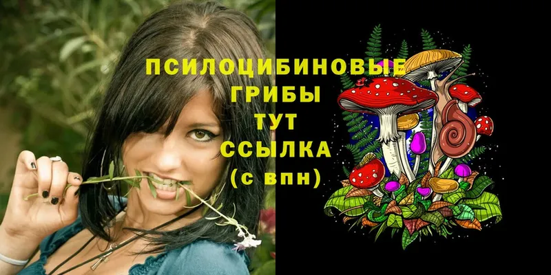 ОМГ ОМГ   Ревда  Галлюциногенные грибы Psilocybe 